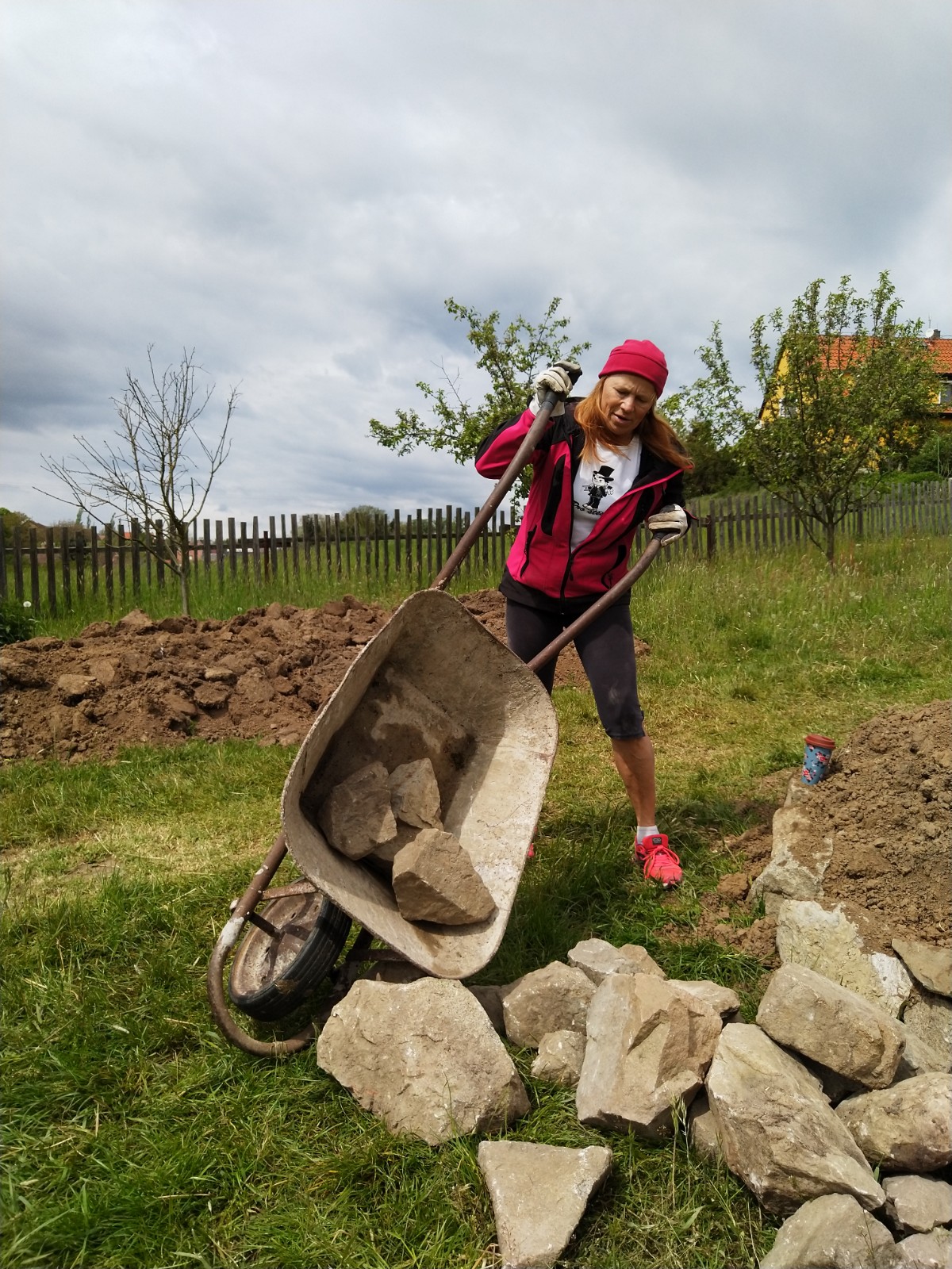 téměř sedumdesátnice veze kolečko s balvany