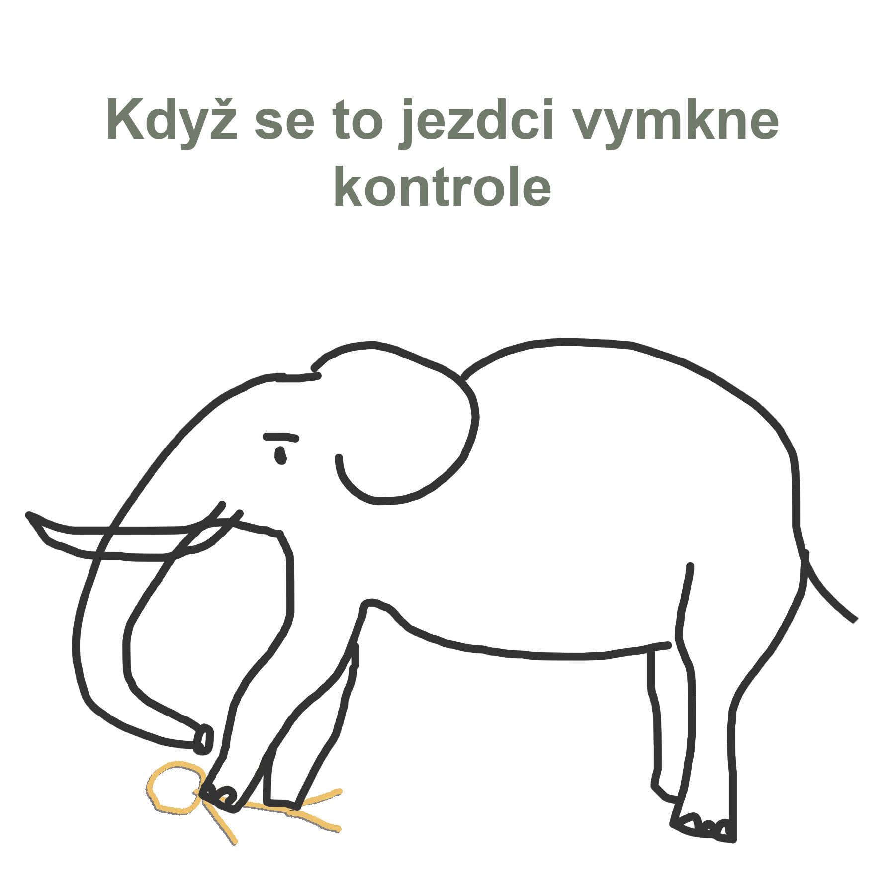 Slon stojí na jezdci